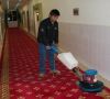 福田区-盐田区-罗湖区-商务楼地毯清洗-家庭清洗地毯